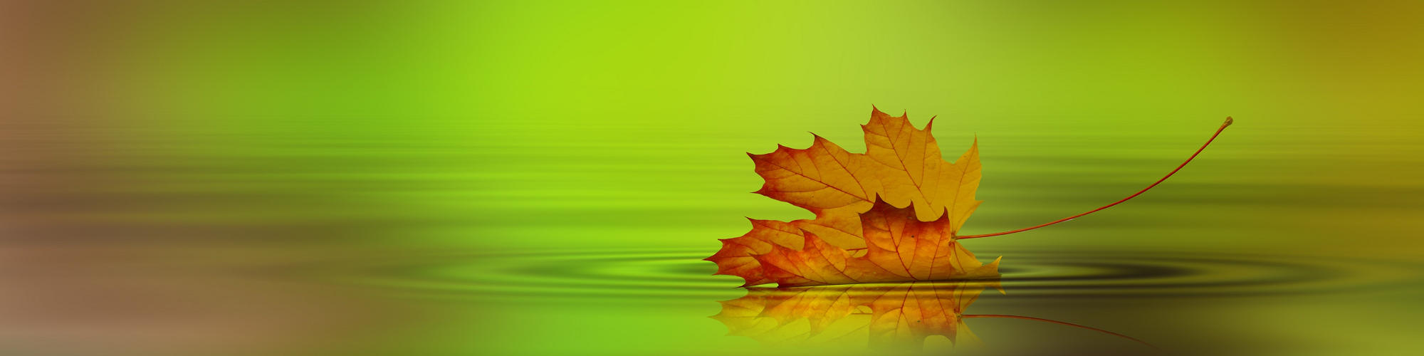 美妍閣美容學苑