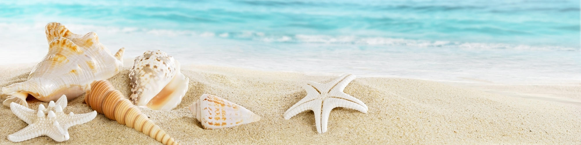 美妍閣美容學苑